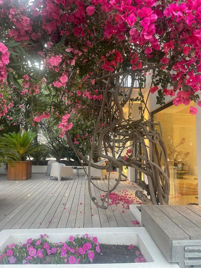 Hotel Le Mistral Порто-Веккьо Экстерьер фото